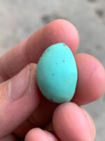 22.82ct Afghan Turquoise Cabochon: Elegance in Proportion and Color - Image 10