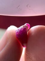 Unveil the Elegance of a 6.51ct Afghan Ruby Crystal - Image 6