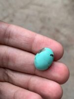 12.60 Ct Afghan Turquoise Cabochon – Bold & Smooth Gem - Image 3