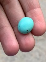 Versatile Afghan Turquoise Cabochon – 7.85 Carats of Everyday Elegance - Image 4
