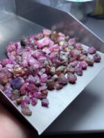 165.10 Carat Ruby Rough Lot – Natural Untreated Gems (11x9x5mm) - Image 8
