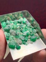Swat Emerald Rough Lot: 44.71 ct Natural Green Crystals - Image 7