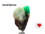 56.10ct Swat Emerald Specimen – Compact Crystal with Vivid Color and Natural Form