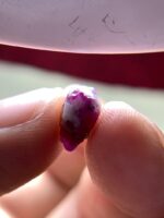 5.32ct Afghan Ruby Crystal: Natural Gemstone, Collector Stone - Image 9