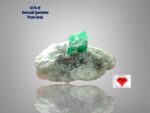 10.15ct Swat Emerald Specimen – Natural Untreated Green Crystal (16.82×12.19×9.32 mm)
