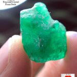 18.20 ct Swat Emerald Crystal – Bold Natural Crystal