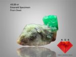 49.28ct Swat Emerald Specimen – A Large Natural Crystal with Outstanding Presence