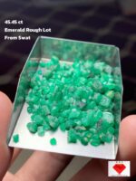 Showcasing a 45.45ct Rough Emerald Lot from Swat