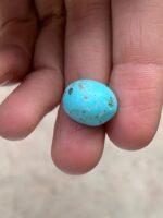 Discovering Afghan Turquoise: A Stunning 14.65 ct Cabochon - Image 5