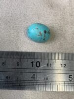 Discovering Afghan Turquoise: A Stunning 14.65 ct Cabochon - Image 8