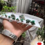 222.80 Carat Emerald Specimens Lot from Swat