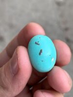 Impressive Afghan Turquoise Cabochon: 23.40 Carats of Natural Brilliance - Image 9