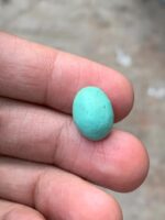 The Allure of Afghan Turquoise: A 6.75 ct Cabochon Gemstone - Image 4