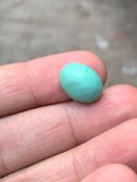 The Allure of Afghan Turquoise: A 6.75 ct Cabochon Gemstone - Image 5