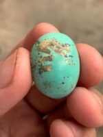 Exquisite Afghan Turquoise Cabochon: 24.32 Carats of Natural Splendor - Image 10