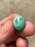 The 9.80 Ct Afghan Turquoise Cabochon: A Piece of Desert Sky - Image 10