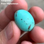 18.30ct Afghan Turquoise Cabochon: A Stone of Calm Color and Confident Shape