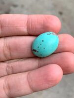 18.30ct Afghan Turquoise Cabochon: A Stone of Calm Color and Confident Shape - Image 6