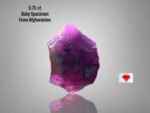 A Gem Unearthed: 9.75ct Afghan Ruby Specimen in Striking Proportions