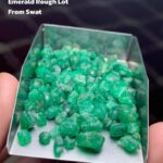 Rare Swat Emerald: 61.55ct Rough Gem
