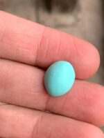Discovering Beauty: A 6.95 ct Afghan Turquoise Cabochon - Image 3