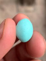 Discovering Beauty: A 6.95 ct Afghan Turquoise Cabochon - Image 7