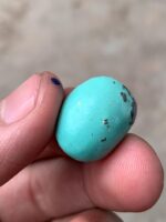 Discover the 17.50ct Timeless Beauty of Afghan Turquoise Cabachon - Image 4