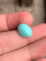 Discovering Beauty: A 6.95 ct Afghan Turquoise Cabochon - Image 9