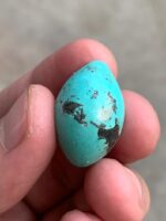 33.70ct Afghan Turquoise Cabochon: A Statement Stone with Natural Elegance - Image 10