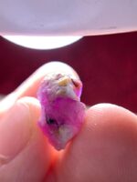 16.20ct Natural Ruby Specimen – Afghanistan | 16.43 x 11.78 x 9.23 mm - Image 5