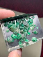 Weight and Color Combined - 40.44 Carat Emerald Rough Lot from Laghman, Afghanistan - Image 5