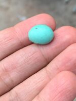 Discover the Timeless Beauty of Afghan Turquoise: 6.05 ct Cabochon Gemstone - Image 8