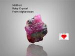 Majestic Fire: Showcasing a 14.85 Carat Afghan Ruby Specimen