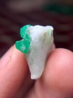 25.80 ct Swat Emerald Specimen – Depth-Rich Natural Crystal Form - Image 12