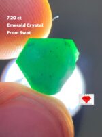 7.20 ct Swat Emerald Crystal (10.51 × 10.06 × 7.38 mm) – Natural Untreated Green Beryl from Northern Pakistan