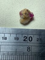 9.90ct Afghan Ruby Specimen – Natural Untreated Crystal (11.91 x 11.65 x 10.64 mm) - Image 9