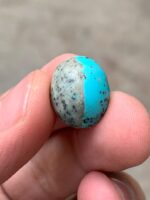 10.25 ct Afghan Turquoise Cabochon: A Small Gem with Distinctive Charm - Image 10