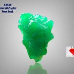 6.65ct Swat Emerald Crystal – Natural Untreated Gem (13.82×10.72×8.82 mm)