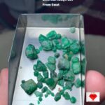 Swat’s Exceptional Gem: A 33.10 Carat Emerald Rough Lot