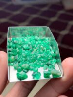 Discovering a 50.60ct Rough Emerald Lot from Swat - Image 9
