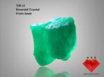 7.91 ct Natural Emerald Crystal from Swat Valley – Exceptional Depth and Compact Power