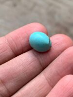 Afghan Turquoise Cabochon – 7.45 Carats of Classic Elegance - Image 8