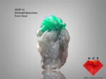40.87 ct Swat Emerald: A Majestic Giant From the Valley of Gems