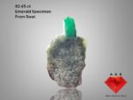 Exceptional 82.45ct Emerald Specimen from Swat