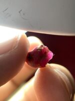 Natural Power: 4.72ct Afghan Ruby Crystal with Deep Structure & Rare Origin- - Image 2