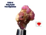 5.5ct Afghan Ruby Crystal – Natural Untreated Gemstone