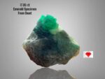 A Crystal of Distinction: 18.75ct Swat Emerald Specimen