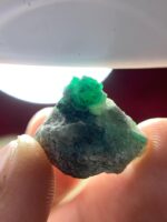 A Crystal of Distinction: 18.75ct Swat Emerald Specimen - Image 2