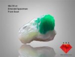 184.70 ct Monumental Emerald Specimen – Swat Valley Treasure
