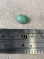 Afghan Turquoise: A 5.25 ct Cabochon with Elegant Presence - Image 11